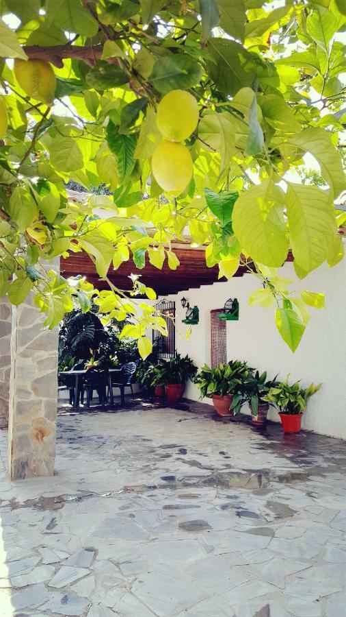 فيلا أورخيفافي Cortijo Lalo المظهر الخارجي الصورة
